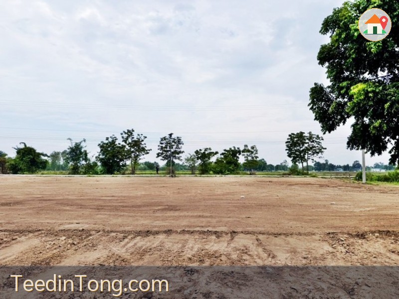 1 ขาย ที่ดิน ที่ดินใกล้ถ.ลาดยาง 2แสน฿ 200 ตรว. ใกล้ชุมชน หนองหญ้าไซ สุพรรณบุรี T.o86-3ol-6l6l 200 ตารางวา สุพรรณบุรี    หนองหญ้าไซ
