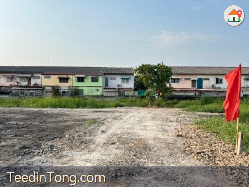 1 ขาย ที่ดิน ที่ดินในชุมชนใกล้ราชมงคล ธัญบุรี คลอง6 ทำหอฟักบ้านพักฯ มีหลายแปลง T.o86-3ol-6l6l 982800 บาท ปทุมธานี