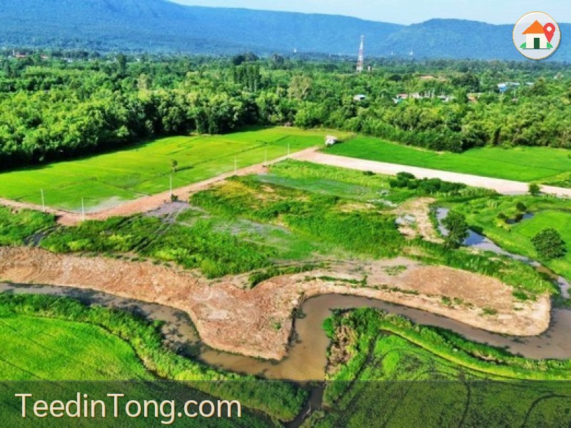 1 ขาย ที่ดิน ที่ดิน ปากพลี นครนายก ชั้นที่ 1 950000 บาท นครนายก    ปากพลี