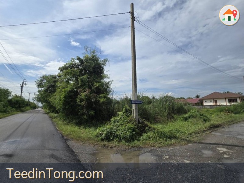 2350 ขาย ที่ดิน ที่ดินเปล่า ถนนขุมทอง-ลำต้อยติ่ง 5 ลาดกระบัง กรุงเทพฯ  ชั้นทั้งหมด 1 ชั้น กรุงเทพ