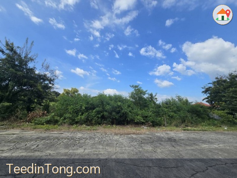 2354 ขาย ที่ดิน ที่ดินเปล่า คลอง 5 ปทุมธานี 2 ไร่ 841 ตร.วา ชั้นที่ 1 ชั้นทั้งหมด 1 ชั้น