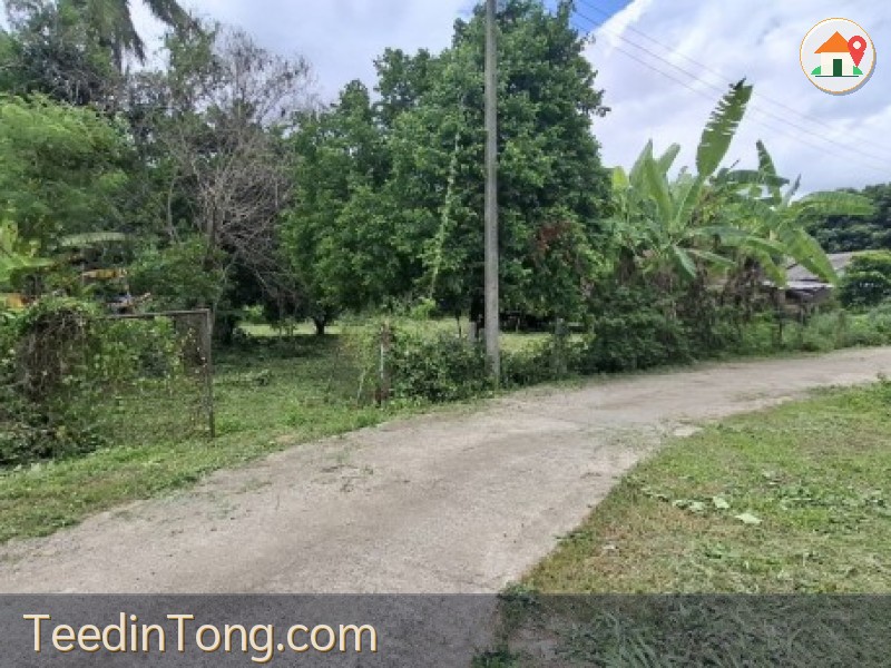 2388 ขาย ที่ดิน ที่ดินสันทราย เชียงราย    ชั้นทั้งหมด 1 ชั้น