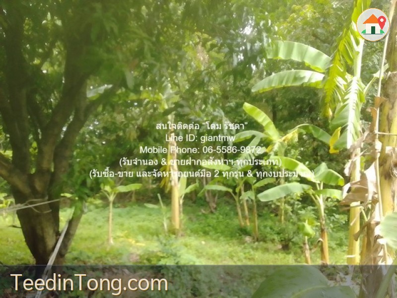 DSL-1009.1 ขาย ที่ดิน ขายที่ดินเกษตรกรรมผืนใหญ่ 3-0-27.3 ไร่ ถนนพิบูลสงคราม นนทบุรี ใกล้กับ ห่างสถานี MRT แยกติวานนท์ ประมาณ 1.8 กม.
