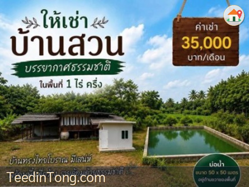 ให้เช่าบ้านชลบุรี ให้เช่าบ้านสวน พื้นที่ประมาณ 1 ไร่ครึ่ง บ้านทรงไทยโบราณ มีเอกลักษณ์