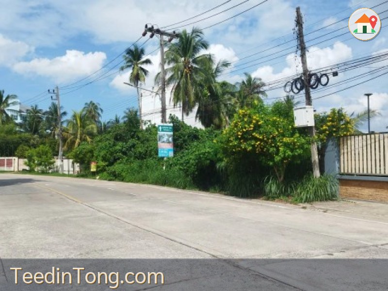 ให้เช่าที่ดิน  320 ตารางวา  หน้าติดถนนหลัก หลังติดแม่น้ำ ใกล้โรงแรมCBD2   เกาะลำพู  เมืองสุราษฎร์ธานี
