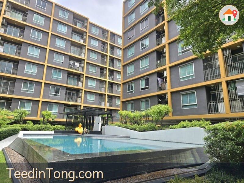 ให้เช่ายู แคมปัส รังสิต-เมืองเอก (U Campus Rangsit-Muangake) ชั้น3ตึกA ใกล้ ม. รังสิต