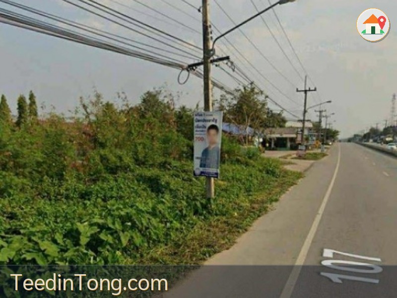 ขาย 10 ไร่  ติดถนนโชตา  แม่ริม ตำบลขี้เหล็ก   เชียงใหม่