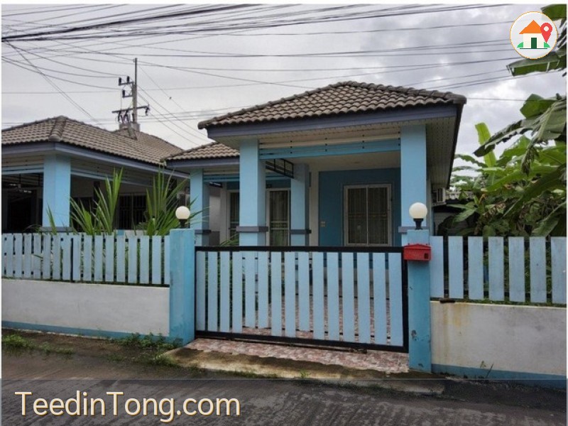 ขายบ้านเดี่ยว โครงการนราสินี ถ.ท่าโรงช้าง ต.มะขามเตี้ย อ.เมืองสุราษฎร์ธานี