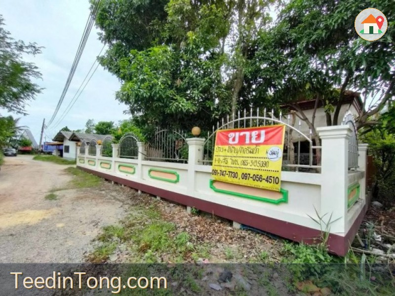 ขายบ้านพร้อมที่ดินริมน้ำ 1-0-67 ไร่ สวนส้ม บ้านแพ้ว สมุทรสาคร