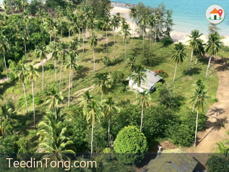 ขายด่วน! ที่ดินติดหาดส่วนตัว (Beachfront) อ.สิชล จ.นครศรีธรรมราช 5 ไร่ กว่าโฉนดครุฑแดง