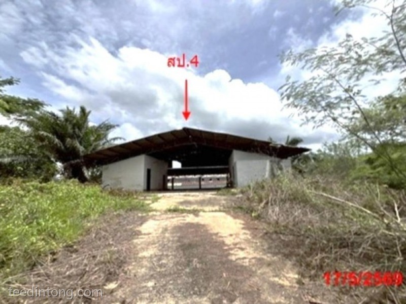 ขายโรงงานพร้อมที่ดินขนาดใหญ่ 15 ไร่เศษ ติดถนนเพชรเกษม อ.คลองท่อม จ.กระบี่
