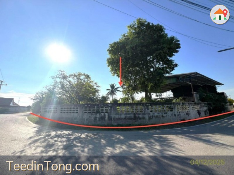 ขายโรงงาน/โกดัง พร้อมที่ดินขนาดใหญ่ 1-2-81.9 ไร่ ต.วังศาลา อ.ท่าม่วง จ.กาญจนบุรี