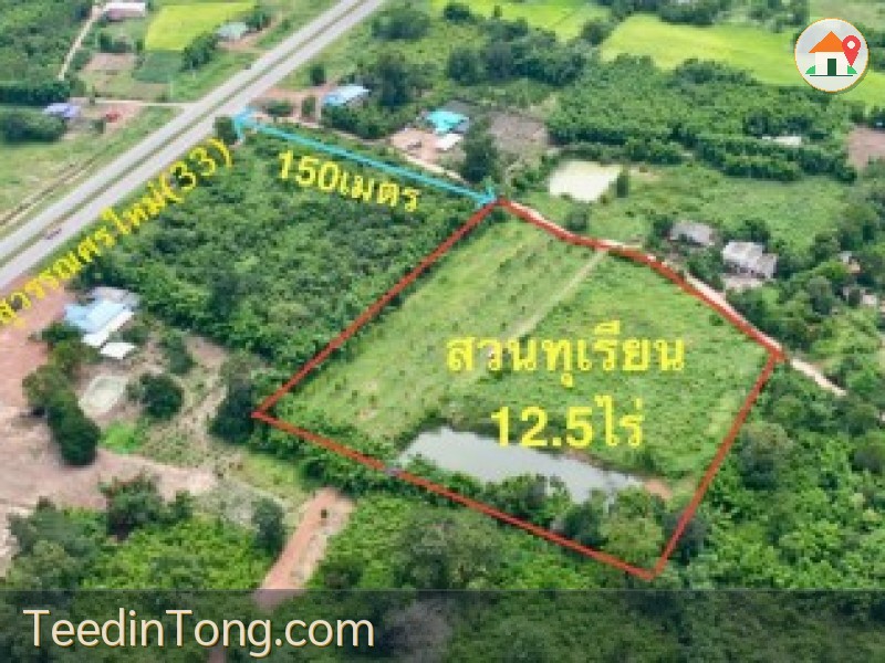 ขายสวนทุเรียน 12.5 ไร่ ต.โนนห้อม อ.เมือง จ.ปราจีนบุรี วิวภูเขา พร้อมระบบน้ำ