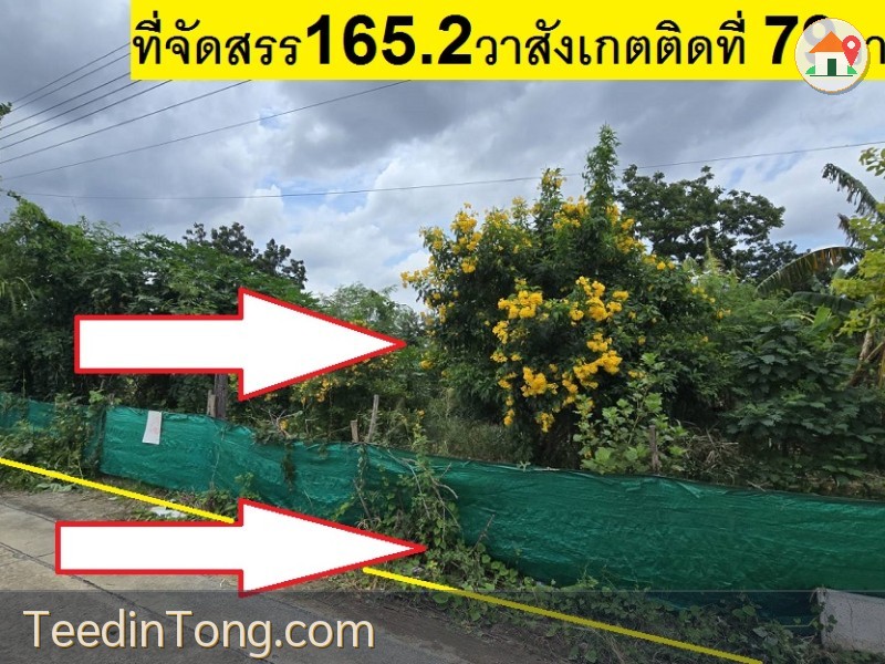ขายที่หมู่บ้านจัดสรร ม.ลานทอง ปากเกร็ด เสมือนอยู่แจ้งวัฒนะ หรือเมืองทองธานี ใกล้นิดเดียว ที่ดินจัดสรรถมแล้วทำเลต้นซอย รวมแปลงเป็น 165.2 ตารางวา ซอยลานทอง 36/1
