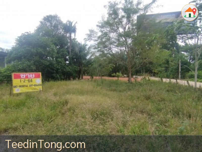 ขายที่ดิน 1-2-64 ไร่ พร้อมบ้าน  ใกล้ท่าอากาศยานนานาชาติสุราษฎร์ธานี
