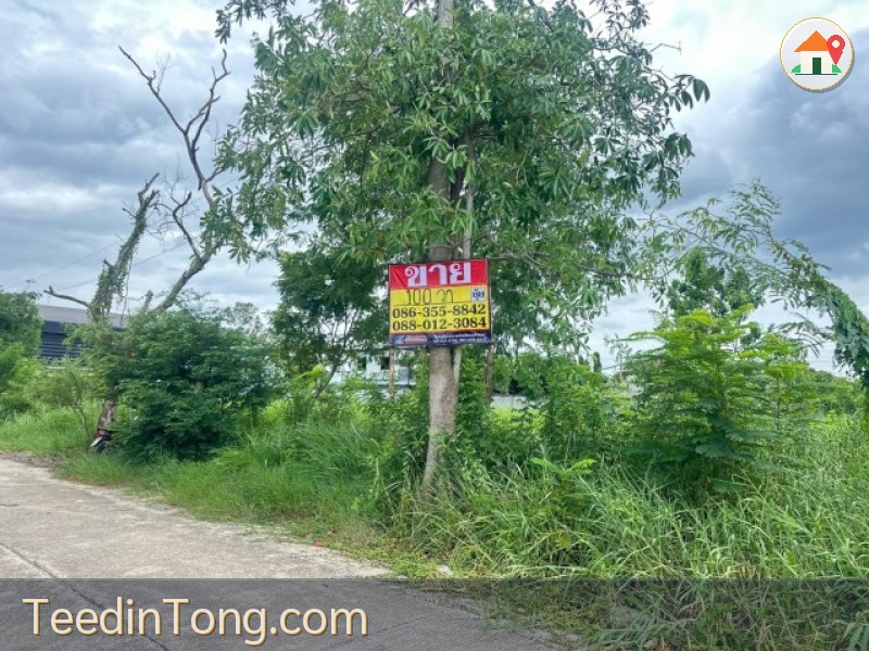 ขายที่ดิน 100 ตารางวา หมู่บ้านออมไทย ถ.บรมราชชนนี  นครชัยศรี นครปฐม