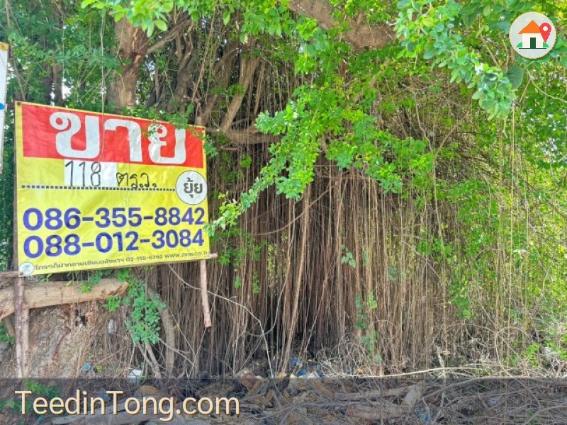 ขายที่ดิน 118 ตารางวา  ซอยลาซาล 54  บางนา  พระโขนง  ใกล้รถไฟฟ้าสถานีศรีลาซาล