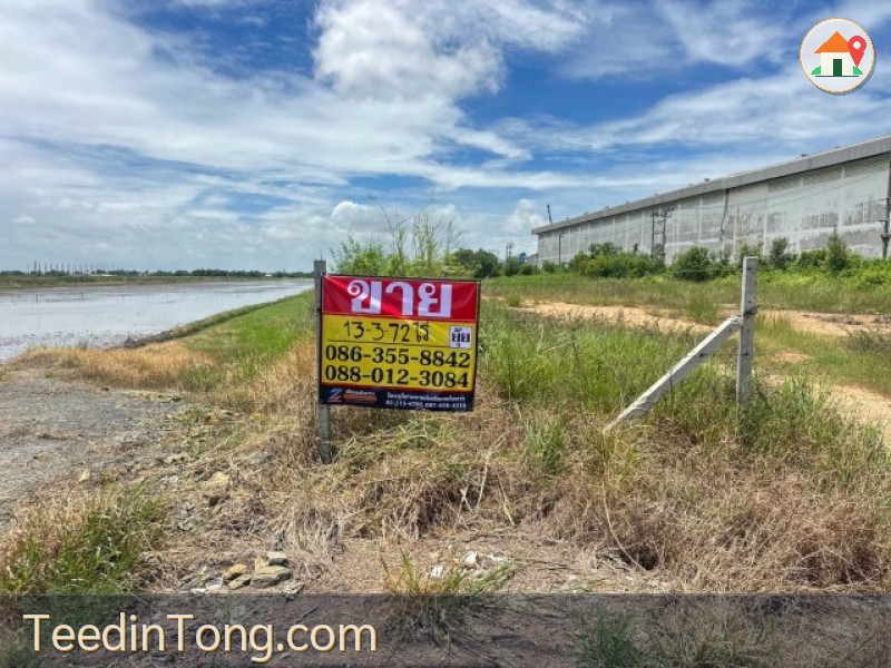 ขายที่ดิน 13-3-72 ไร่  ติดถนนตลาดปองพล คลองอุดมชลจร  เมืองฉะเชิงเทรา