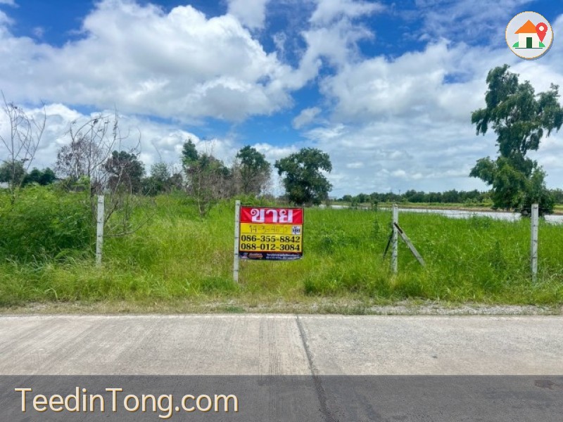 ขายที่ดิน 14-3-46 ไร่  ซอยวัดคู้เกษมสโมสร ถนนตลาดปองพล  คลองอุดมชลจร  เมืองฉะเชิงเทรา