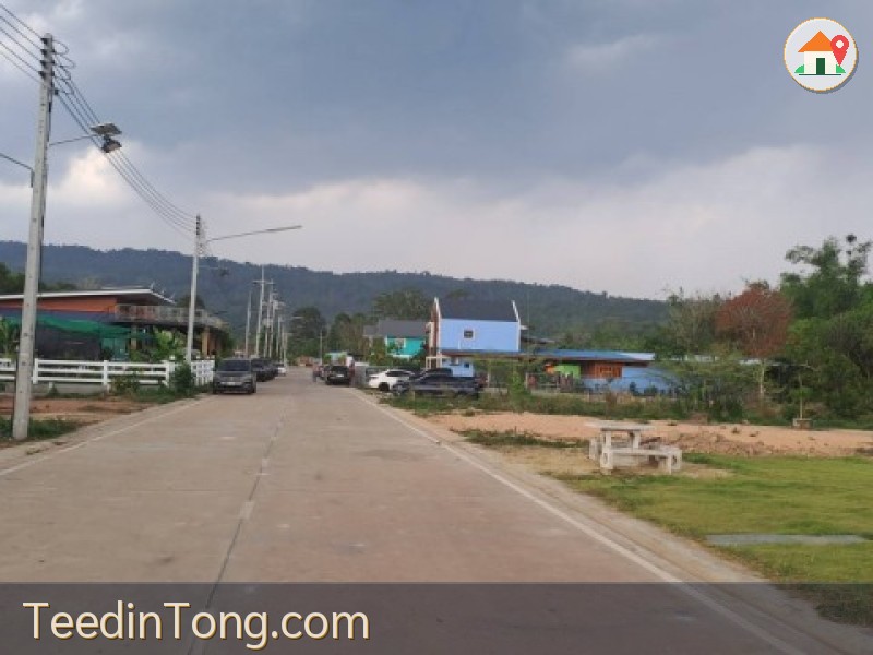 ขายที่ดิน 147ตรว.เหมาะทำรีสอจร์ท สวนเกษตร ตีนเขาใหญ่ จ.นครนายก