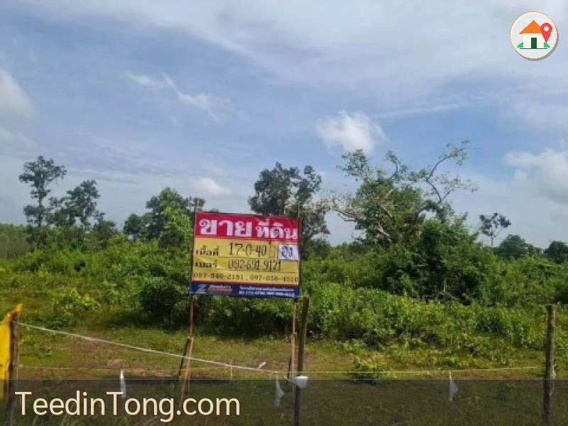 ขายที่ดิน 17-0-40 ไร่   ใกล้ถ.มิตรภาพ  283 เมตร เชียงหวาง  อำเภอเพ็ญ   จ.อุดรธานี