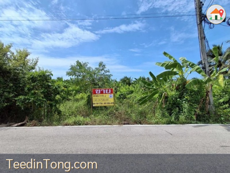 ขายที่ดิน 199 ตร.วา. ซ.โรงถ่าน ถนนทุ่งกระโจมทอง หลักสอง บ้านแพ้ว สมุทรสาคร