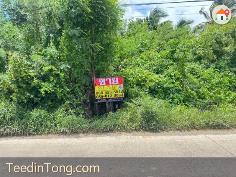 ขายที่ดิน-2-1-76-ไร่-ซอยวัดคู้เกษมสโมสร-ถนนตลาดปองพล-คลองอุดมชลจร-เมืองฉะเชิงเทรา