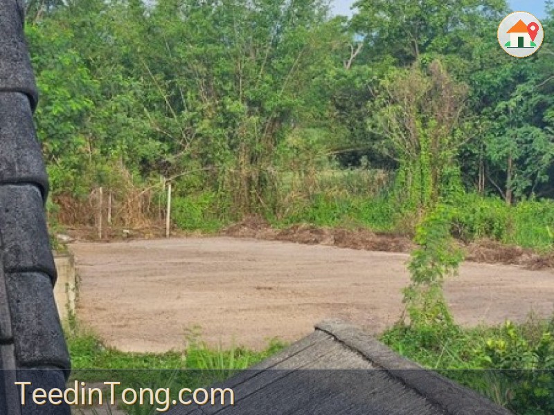 ขายที่ดิน 2 ไร่  สันทราย  แม่โจ้  เชียงใหม่ หากจาก ม. แม่โจ้  4 กม  หรือ 10 นาที