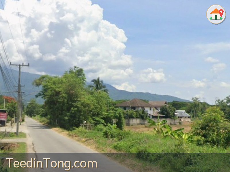 ขายที่ดิน  21 ไร่  ตำบลหนองควาย  หางดง  เชียงใหม่  พื้นที่สี่เหลือง   เหมาะทำโครงการ