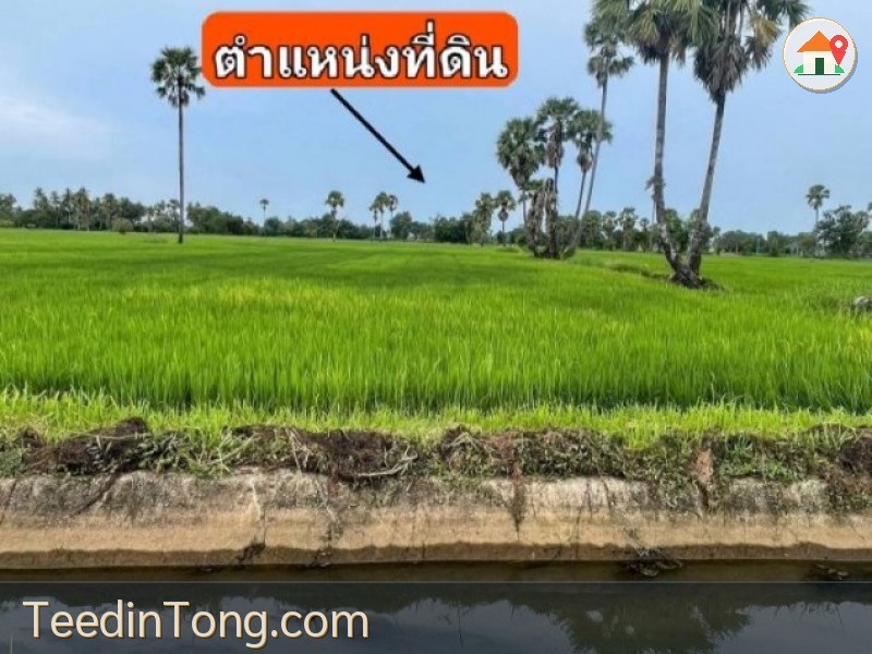 ขายที่ดิน 3 ไร่ 28 ตรว.ทำเลทองแห่งความสงบ ต.บ้านหาด อ.บ้านลาด เพชรบุรี