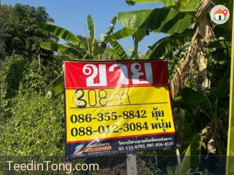 ขายที่ดิน  308 ตารางวา  ซอยเฉลิมพระเกียรติ ร.9 ซอย 23   หนองบอน ประเวศ กรุงเทพ