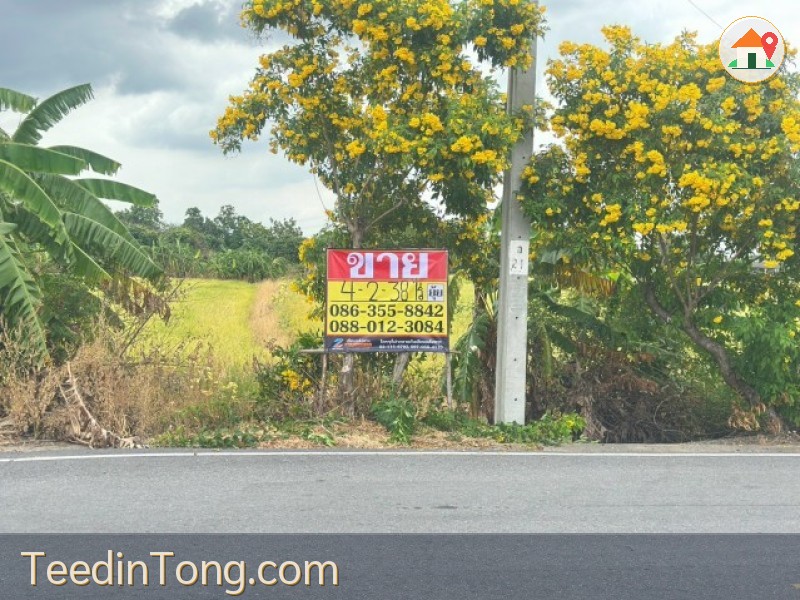 ขายที่ดิน 4-2-38 ไร่  ตรงข้าม กศน. ตำบลคลองข่อย นนทบุรี  ถนน 345-ราชพฤกษ์ ปากเกร็ด