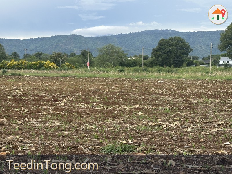ขายที่ดิน  46ไร่ หมูสี บุ่งเตย ติดถนนสาธารณะลาดยาง 2 ด้าน วิวเขาใหญ่ เหมาะทำโครงการ
