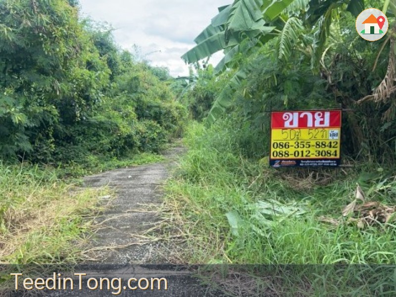 ขายที่ดิน 52 ตารางวา  หมู่บ้านมหาดไทย2 ซอย5  บางระมาด11  ตลิ่งชัน กรุงเทพ