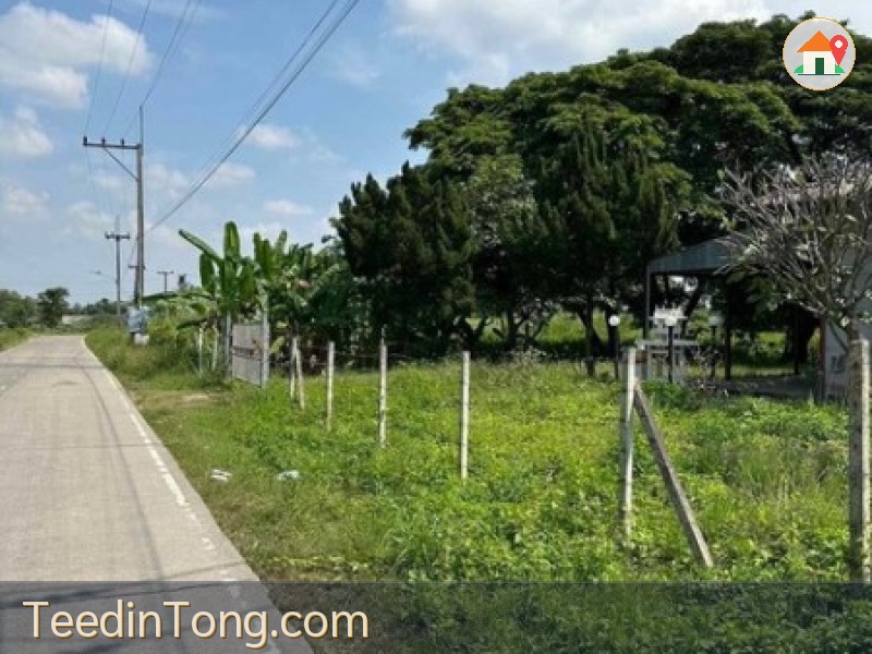 ขายที่ดิน 5ไร่ 41 ตรว  แถวบ้านถวาย  อ.หางดง จังหวัดเชียงใหม่