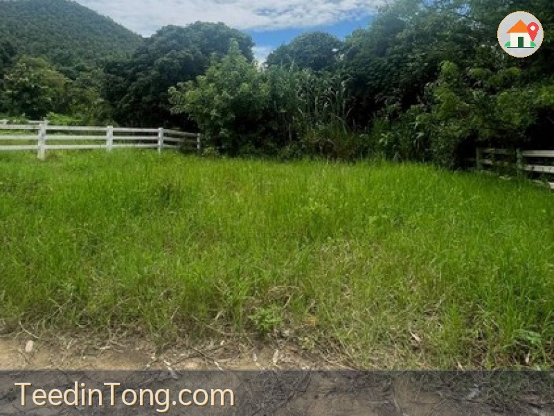 ขายที่ดิน 65ตรว. ลดเหลือ450,000บาท ฟรีโอน วิวเขา ถนนคอนกรีต น้ำประปา ไฟฟ้า ใกล้ถนนสันกำแพง-แม่ออน ต.ออนใต้ อ.สันกำแพง เชียงใหม่