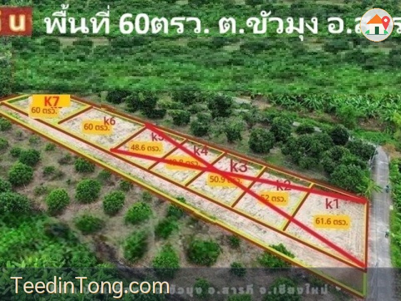 ขายที่ดินแบ่งจัดสรร 60ตรว. ลดเหลือ 294,000บ. ฟรีโอน ถนน น้ำ ไฟฟ้า ใกล้วัดขัวมุง ต.ขัวมุง อ.สารภี เชียงใหม่