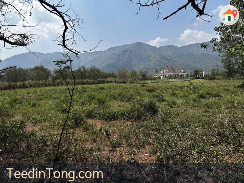 ขายที่ดินบ้านเลือดไทย ปากช่อง เขาใหญ่  วิวเขาใหญ่สวยมาก 3ไรา 1งาน 64ตรว ติดถนน ไฟ น้ำ โฉนดพร้อม