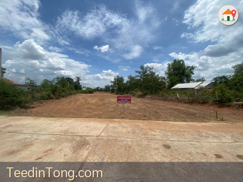 ขายที่ดิน บ้านโนนทอง อำเภอบัวใหญ่ จังหวัดนครราชสีมา เนื้อที่ 2 ไร่