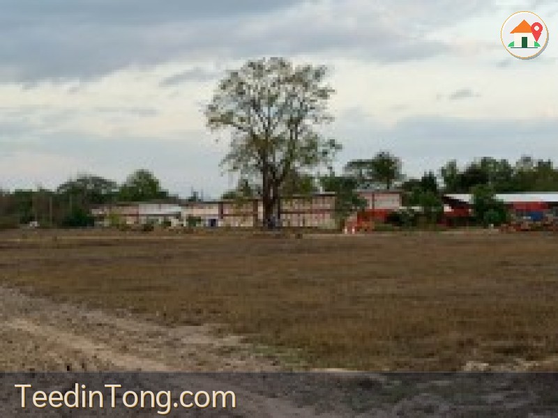 ขายที่ดิน นครพนม 16 ไร่ 1 งาน 94 ตรว. ติดโครงการทางรถไฟ ทำเลทองนาทราย เจ้าของขายเอง
