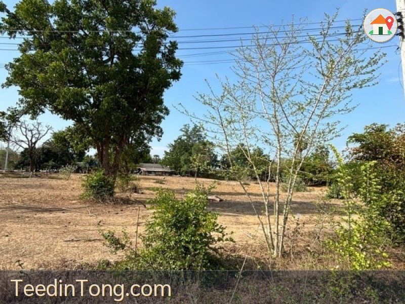 ขายที่ดินหัวหิน ทับใต้ แปลงละ 200 ตร.ว. ราคา 1.3 ล้าน เจ้าของขายเอง