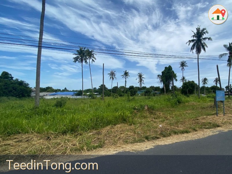 ขายที่ดิน หนองข้างคอก ที่ตั้งบ้านสวนซอย 11 เจ้าของขายเอง