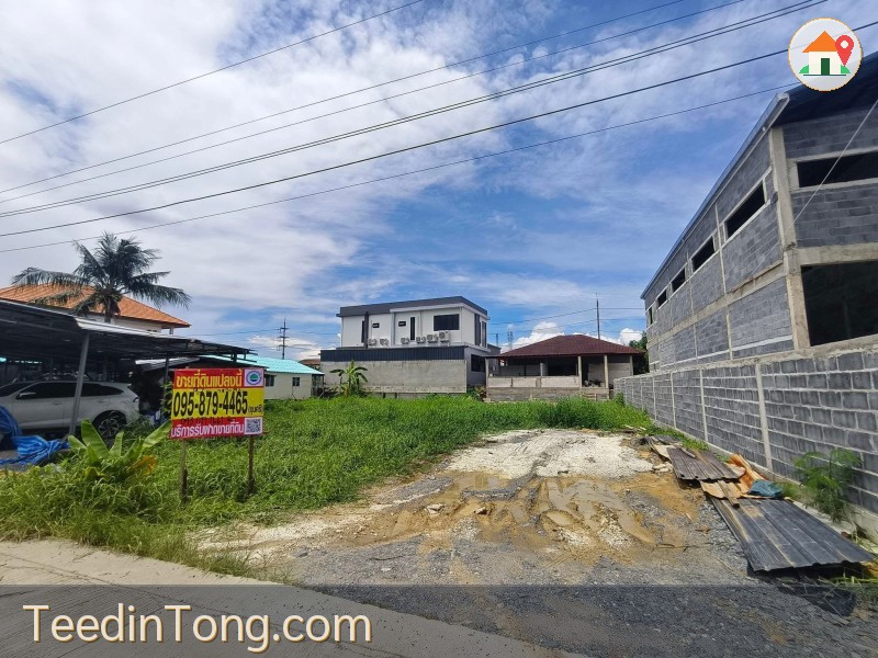 ขายที่ดินเขตภาษีเจริญราคาดี