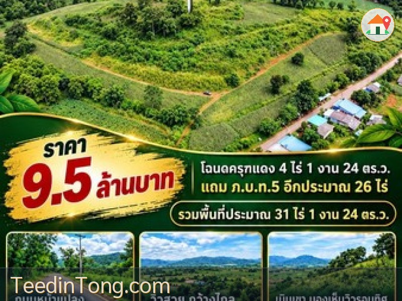 ขายที่ดินไล่ระดับ ต.ท่ามะปราง อ.แก่งคอย จ.สระบุรี เดินทางง่ายไม่ลึกลับซับซ้อน เข้าจาก 4 เลน บ้านนา–แก่งคอย 600 เมตร