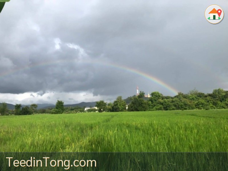 ขายที่ดินแปลงสวยผืนใหญ่ 26-3-47 ไร่ ต.ดอยเต่า อ.ดอยเต่า จ.เชียงใหม่