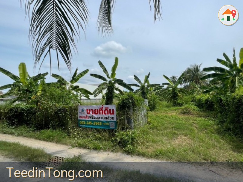 ขายที่ดิน แปลงสวยถมแล้ว ต.บ้านลาด อ.บ้านลาด จ.เพชรบุรี 1 งาน 89 ตรว.