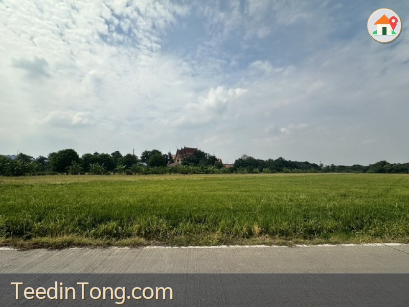 ขายที่ดินเปล่า 15-3-35 ไร่ ลาดหลุมแก้ว ปทุมธานี ทำเลดี ย่านชุมชนพร้อมบรรยากาศธรรมชาติ เหมาะสำหรับลงทุนหรือพัฒนาโครงการที่อยู่อาศัย