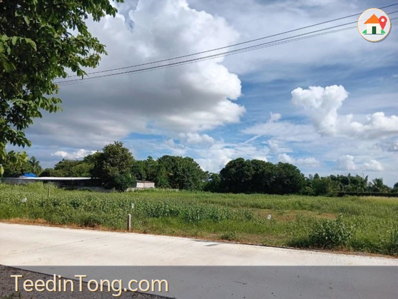 ขาย ที่ดินเปล่า 2 ไร่ หินเหล็กไฟ,หัวหิน จังหวัด ประจวบคีรีขันธ์