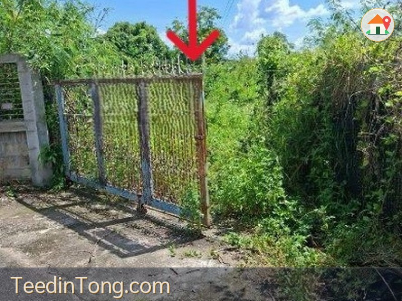 ขายที่ดินเปล่า 252ตรว. 1.26ลบ. ถนน น้ำ ไฟฟ้า  ใกล้ 4แยกไฟแดง รพ.สันป่าตอง หลัง รร. ทุ่งฟ้าบด หมู่5 ต.มะขามหลวง อ.สันป่าตอง เชียงใหม่