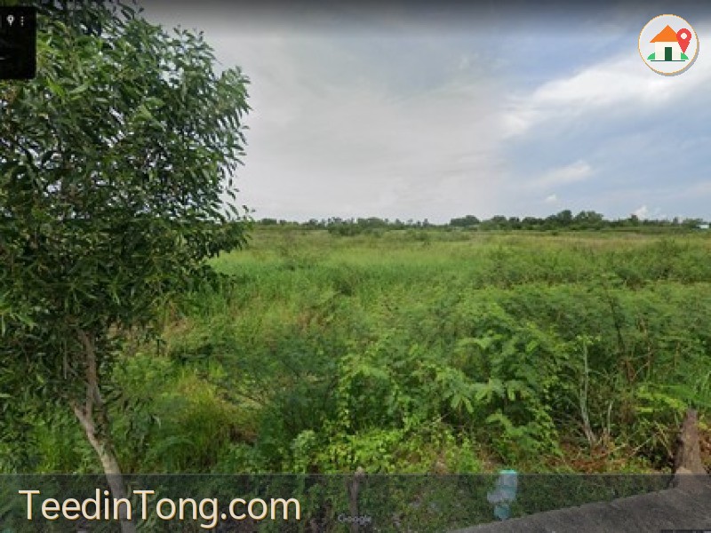 ขายที่ดินเปล่า เนื้อที่ 3-0-50 ไร่ ขายถูกมากเท่าราคาประเมิน องครักษ์ นครนายก